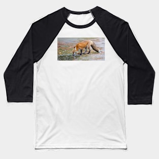 Red Fox - Algonquin Park, Canada Baseball T-Shirt